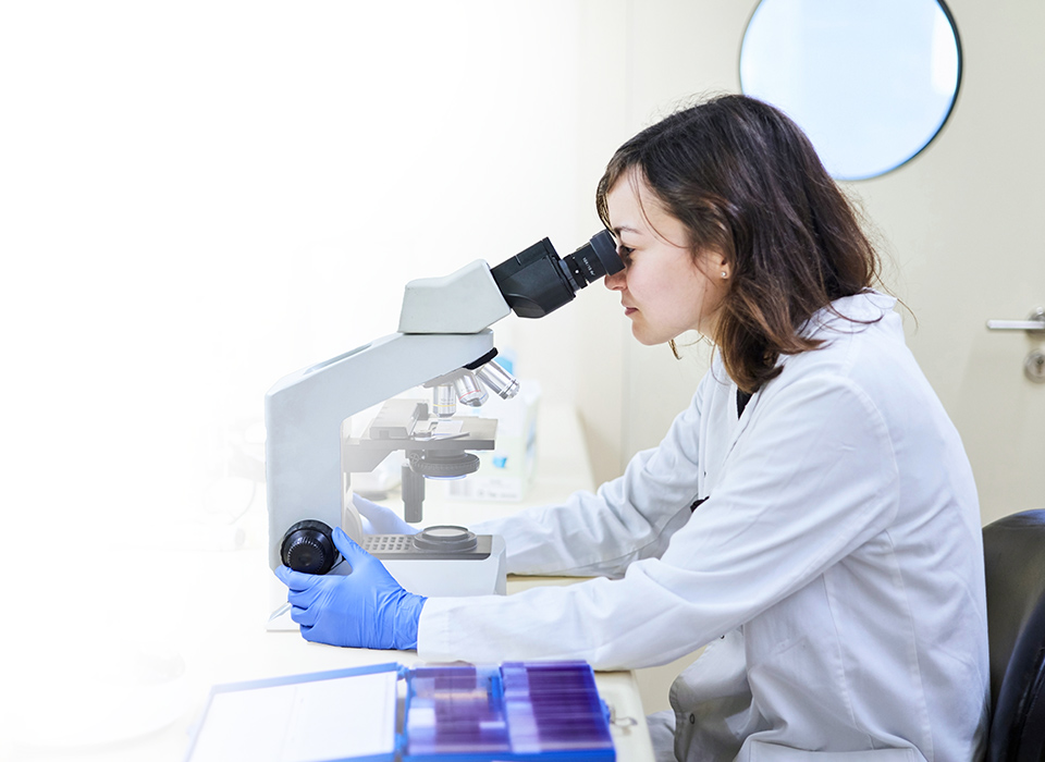 Laboratory Stools